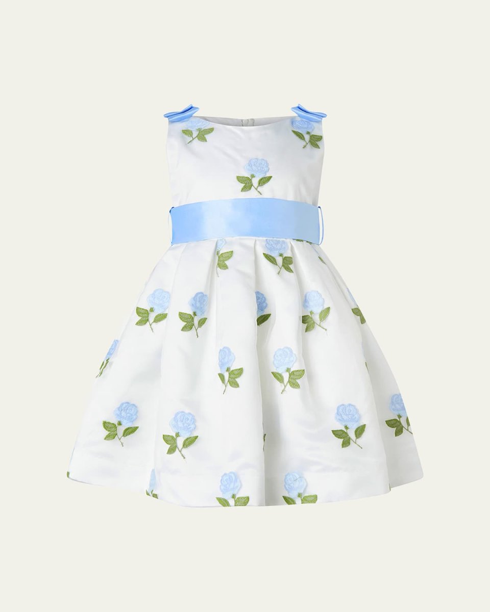 Girl's Rose Embroidered Organza Dress, Size 2-